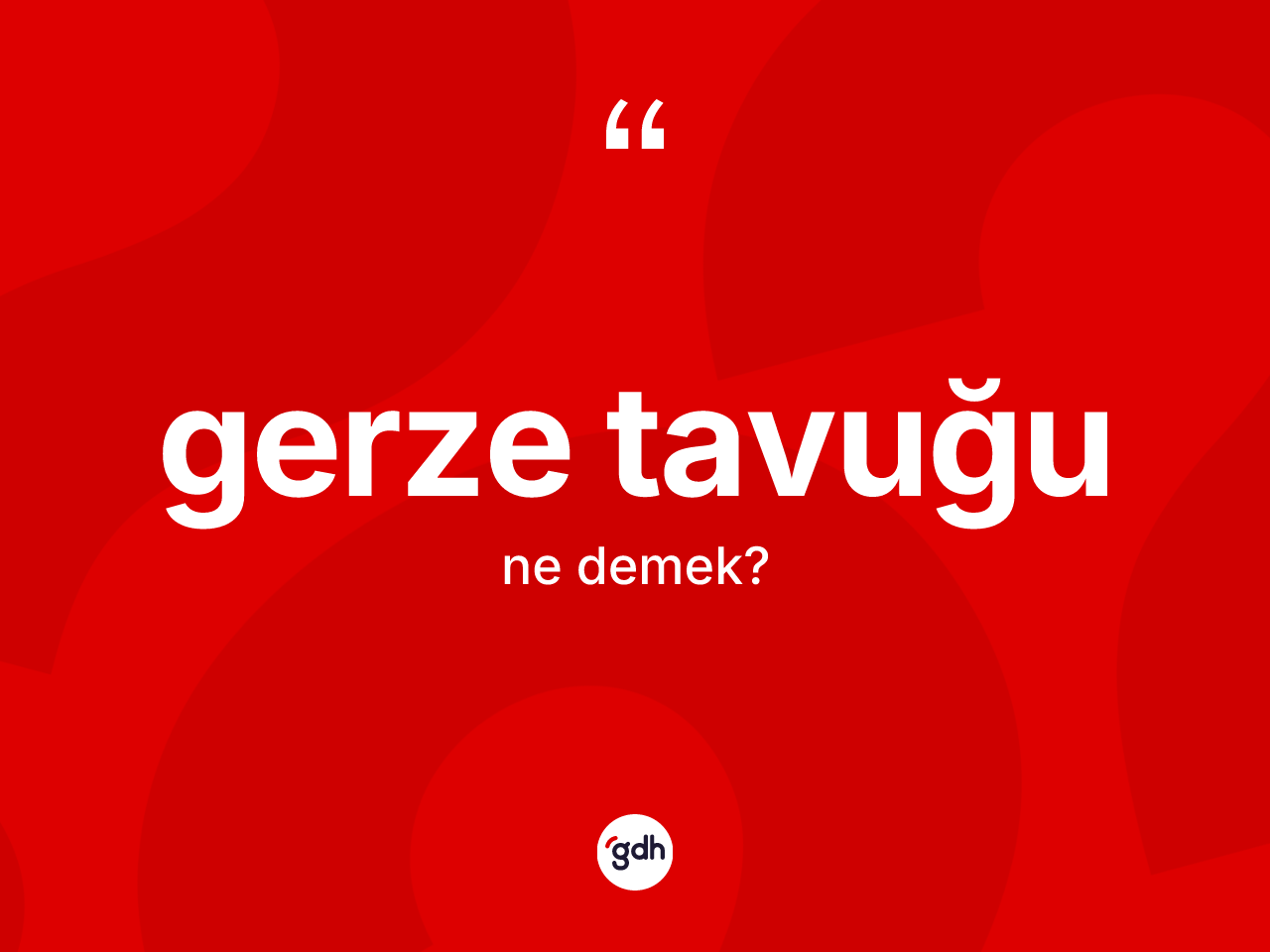 Gerze tavuğu ne anlama gelir? Gerze tavuğunun TDK'ya göre anlamı nedir?
