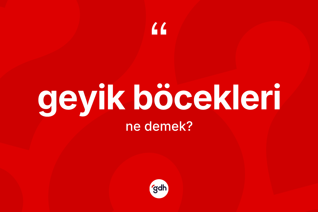 Geyik böcekleri kelimesi ne demek?