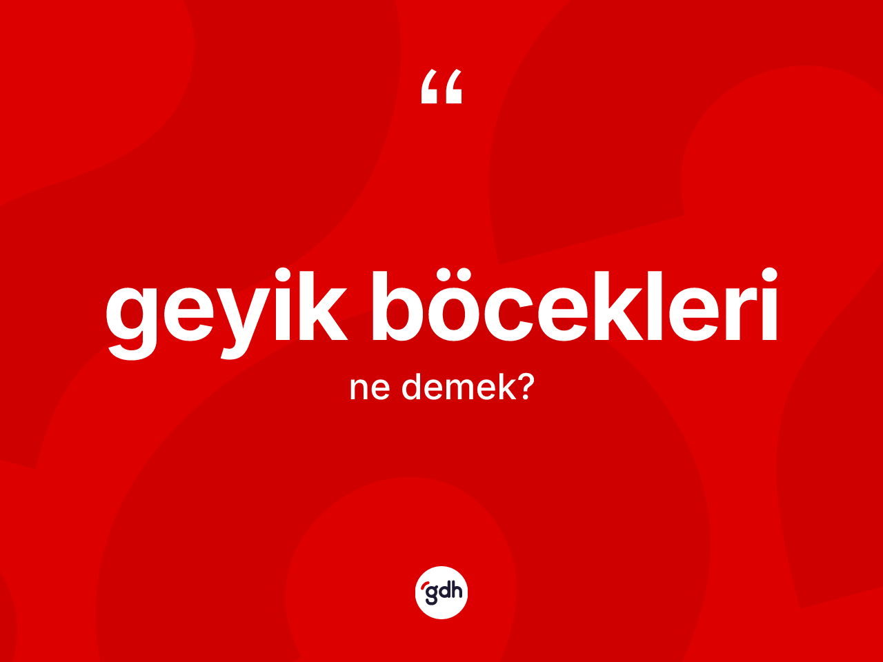 Geyik böcekleri kelimesi ne demek? Geyik böceklerinin TDK'ya göre anlamı nedir?