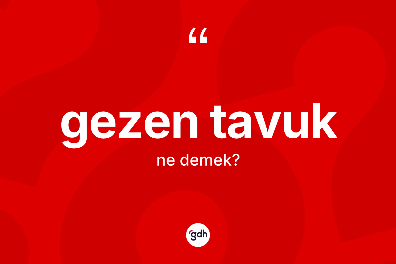 Gezen tavuk ne anlama gelir?