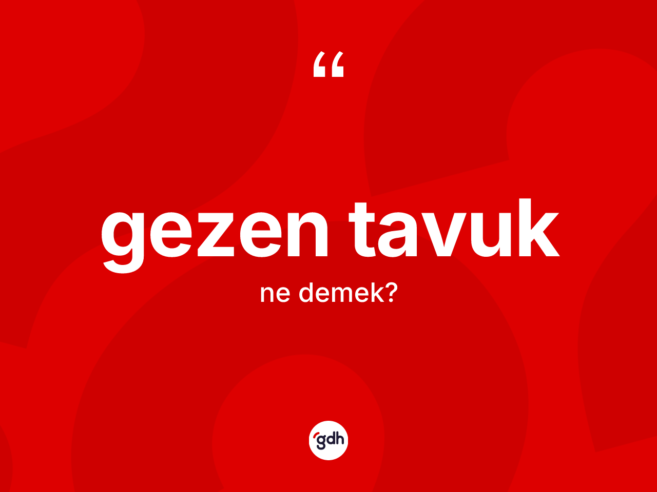 Gezen tavuk ne anlama gelir? Gezen tavuğun TDK'ya göre anlamı nedir?