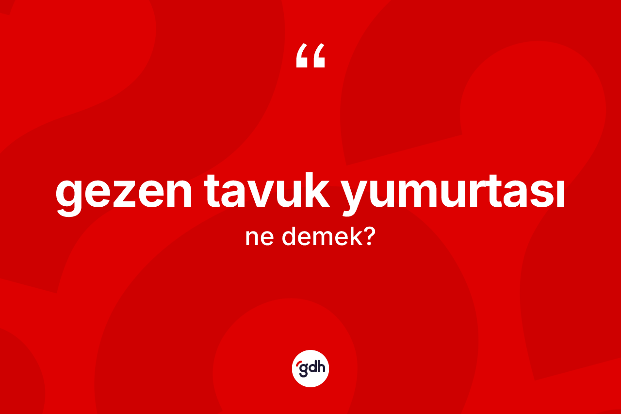 Gezen tavuk yumurtası nedir? Gezen tavuk yumurtası kelimesinin özellikleri nelerdir?