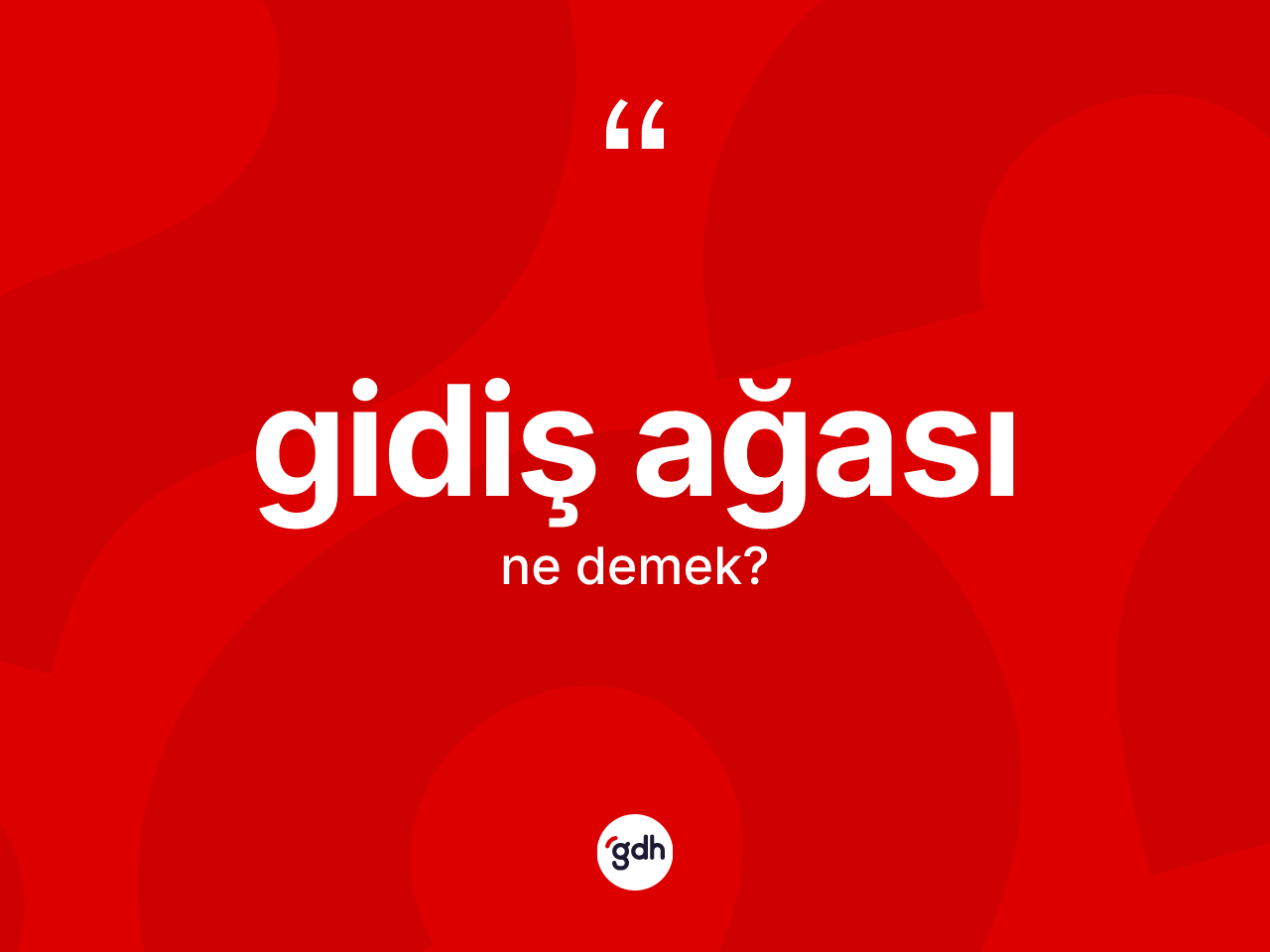 Gidiş ağası ne demek? Gidiş ağasının kısaca tanımı nedir?