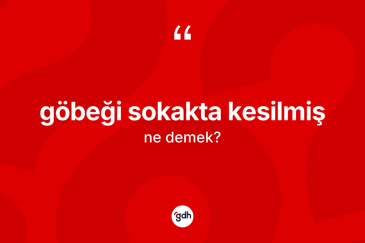 Göbeği sokakta kesilmiş sözü ne anlama gelir? Göbeği sokakta kesilmiş ifadesinin özellikleri nelerdir?