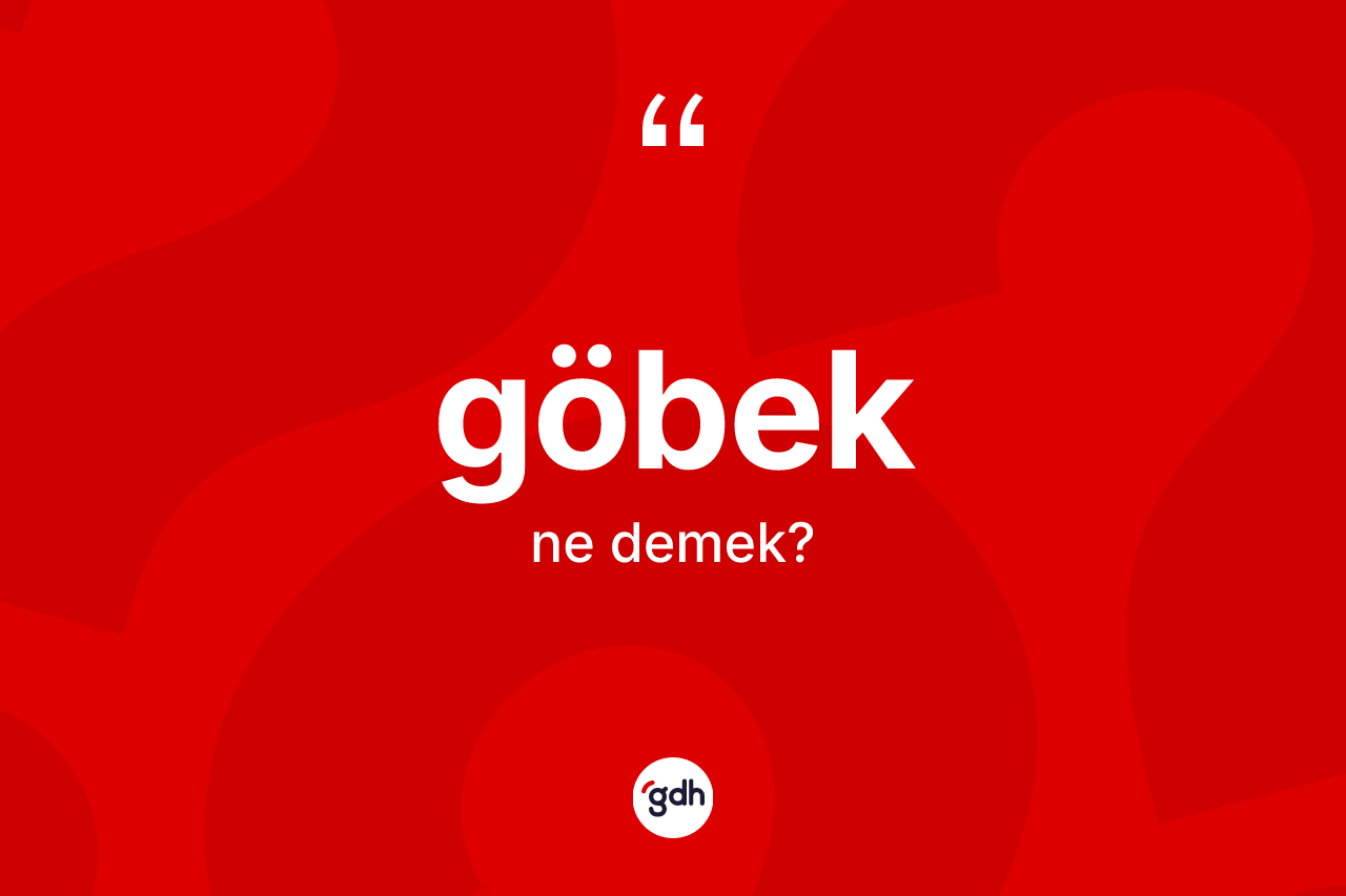 Göbek kelimesi ne anlama gelir?