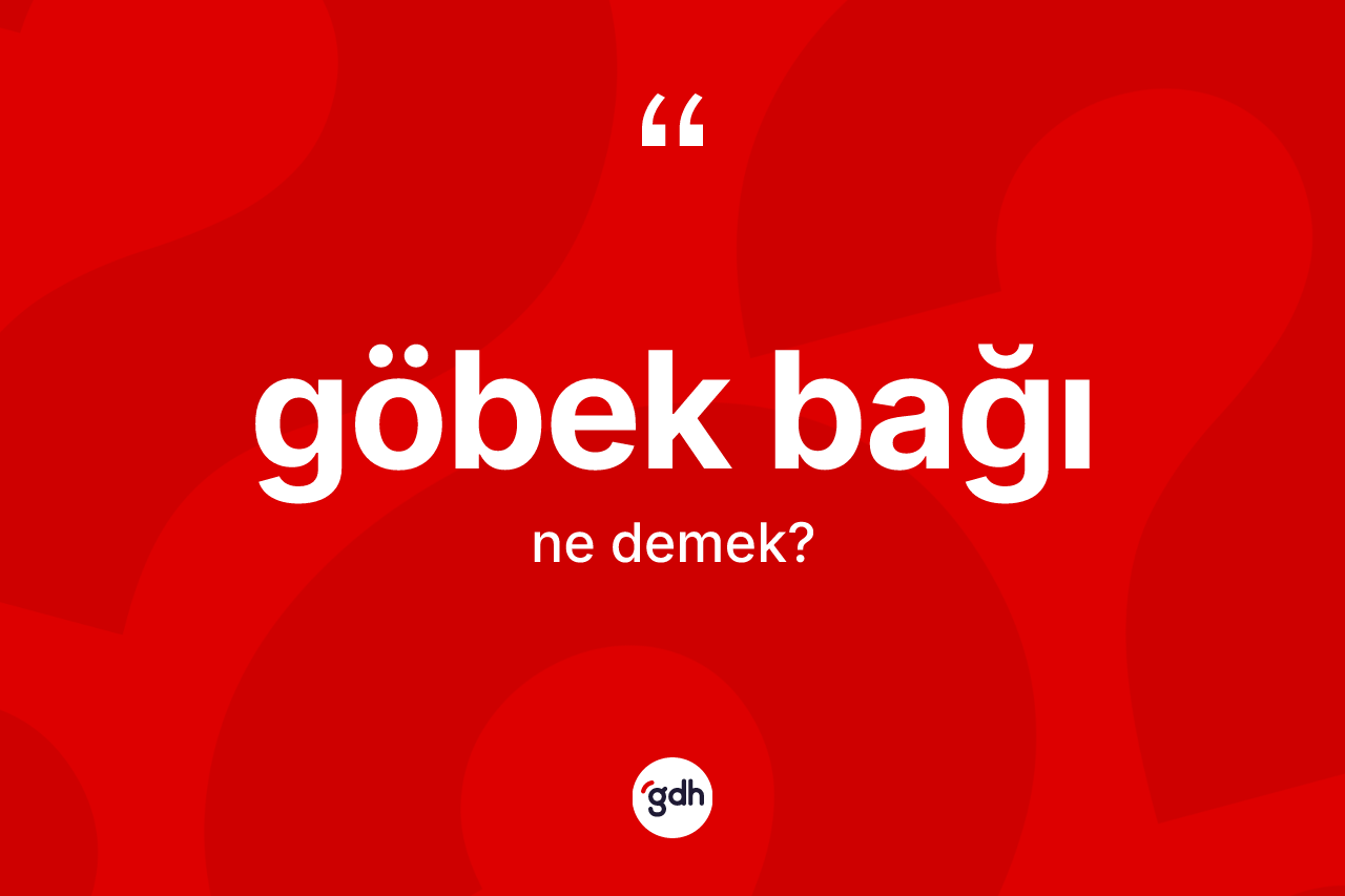 Göbek bağı ne demek? Göbek bağının kısaca tanımı nedir?