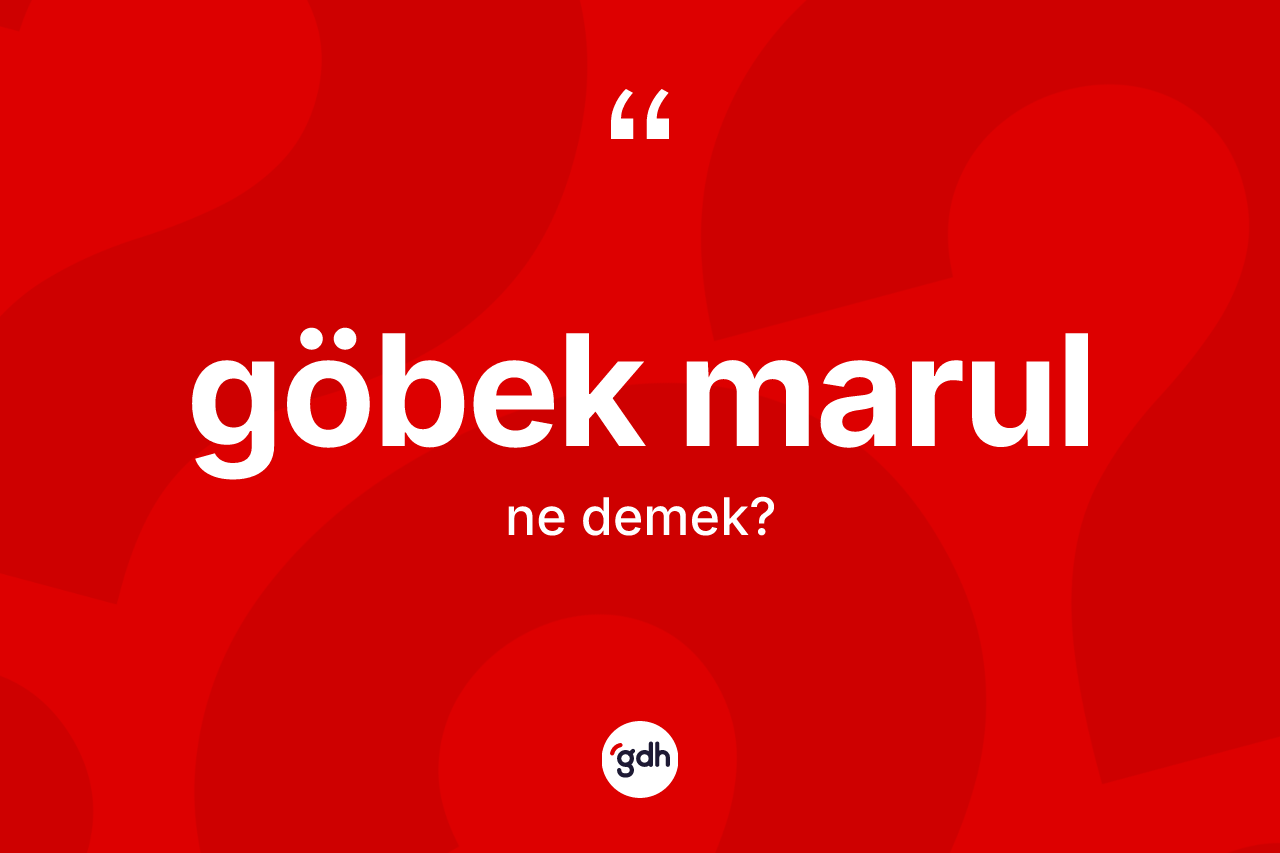 Göbek marul nedir? Göbek marulun TDK'ya göre anlamı nedir?