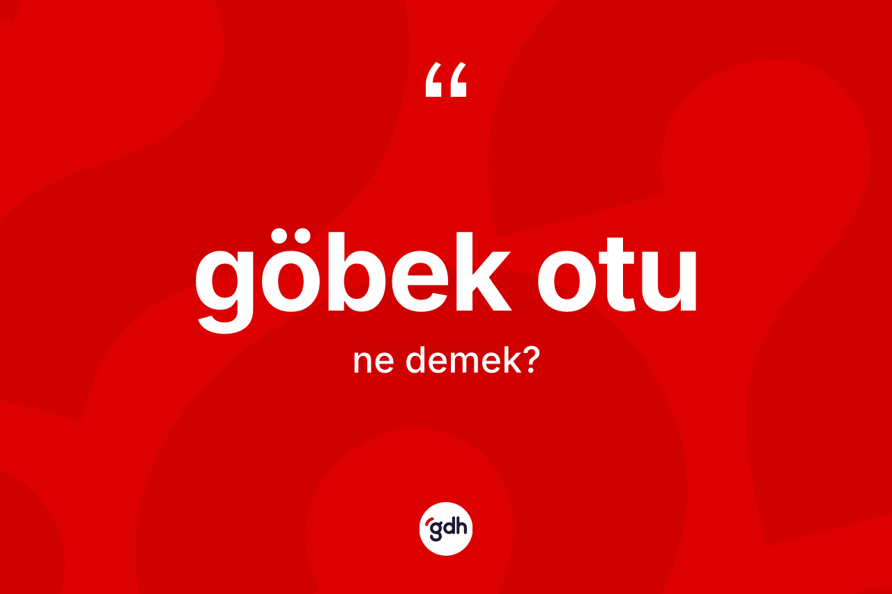 Göbek otu kelimesinin anlamı nedir? Göbek otunun TDK'ya göre anlamı nedir?