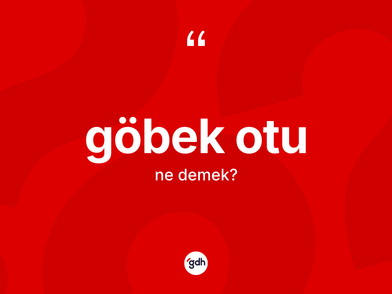 Göbek otu kelimesinin anlamı nedir? Göbek otunun TDK'ya göre anlamı nedir?
