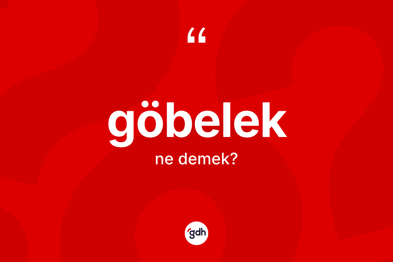 Göbelek kelimesi ne demek? Göbelek kelimesinin özellikleri nelerdir?