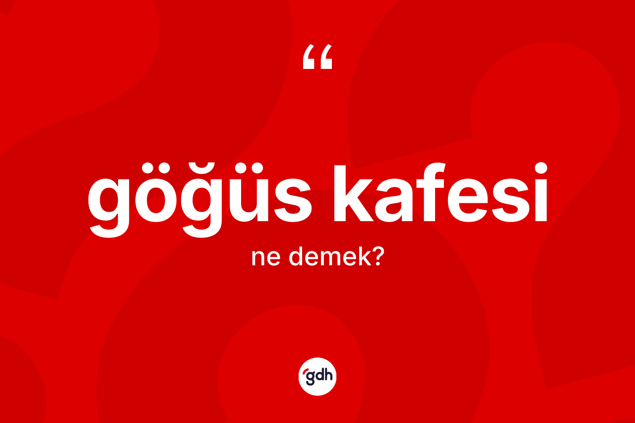 Göğüs kafesi kelimesi ne anlama gelir? Göğüs kafesi kelimesinin TDK'ya göre açıklaması nedir?