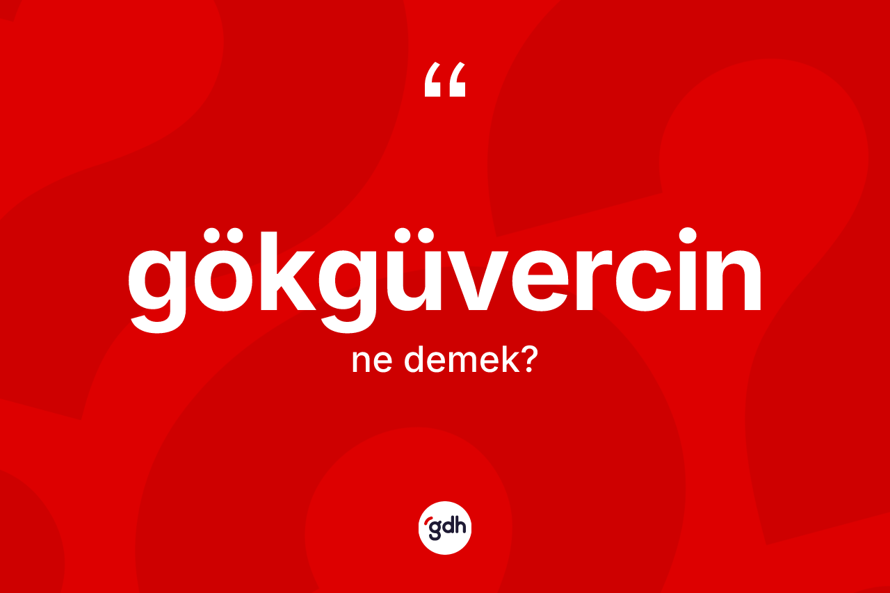 Gökgüvercin kelimesi nedir? Gökgüvercinin TDK'ya göre anlamı nedir?