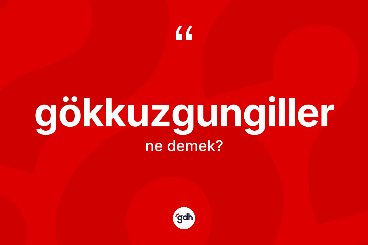Gökkuzgungiller kelimesinin anlamı nedir? Gökkuzgungiller kelimesinin TDK'ya göre açıklaması nedir?