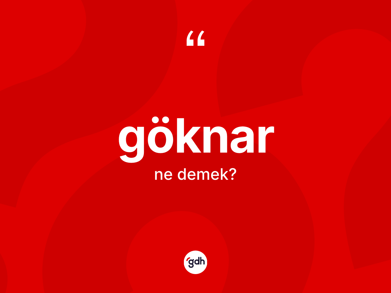 Göknar kelimesi ne demek? Göknarın TDK'ya göre anlamı nedir?