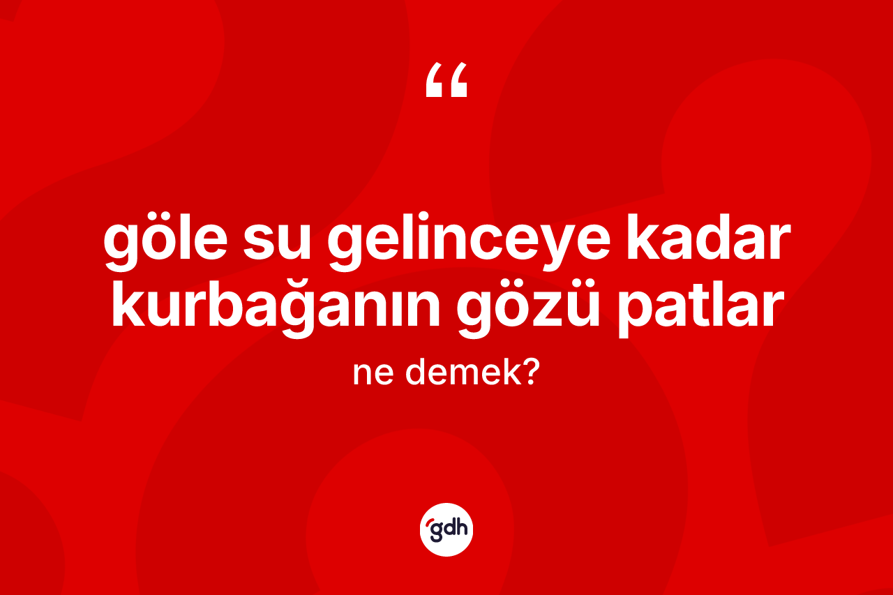 Göle su gelinceye kadar kurbağanın gözü patlar ifadesinin tanımı nedir? Göle su gelinceye kadar kurbağanın gözü patlar ifadesi hangi durumlarda kullanılır
