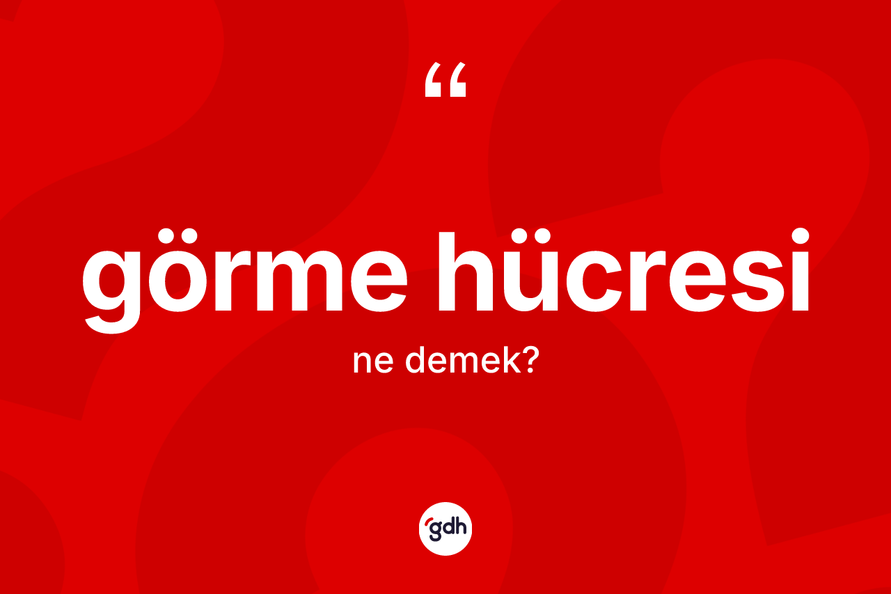 Görme hücresi kelimesi ne anlama gelir? Görme hücresi kelimesinin TDK anlamı nedir?