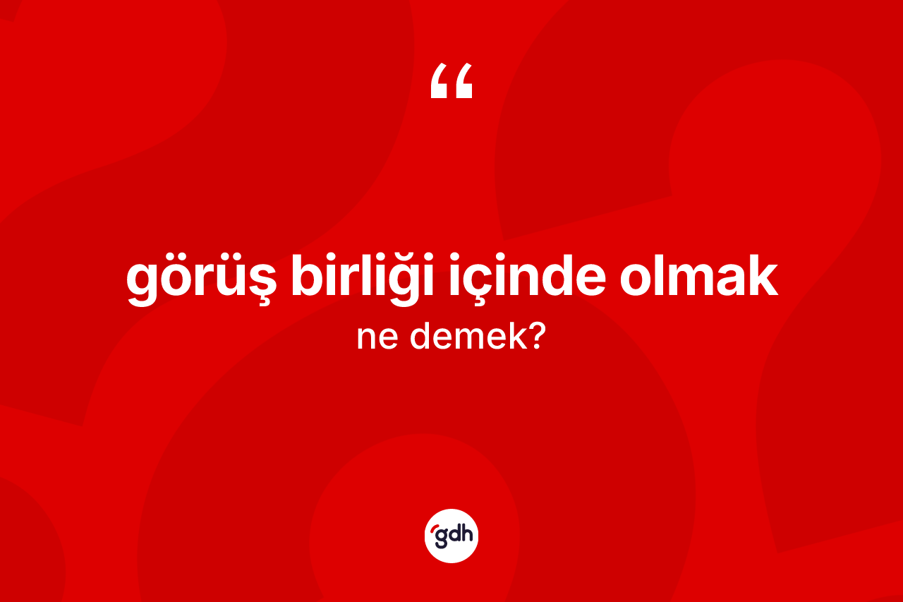 Görüş birliği içinde olmak ifadesinin sözlükteki anlamı nedir? Görüş birliği içinde olmak ifadesinin kaç farklı anlamı var?