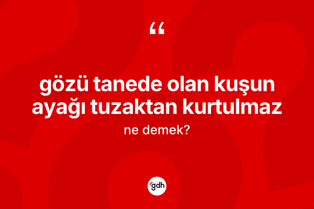 Gözü tanede olan kuşun ayağı tuzaktan kurtulmaz ifadesinin anlamı nedir?