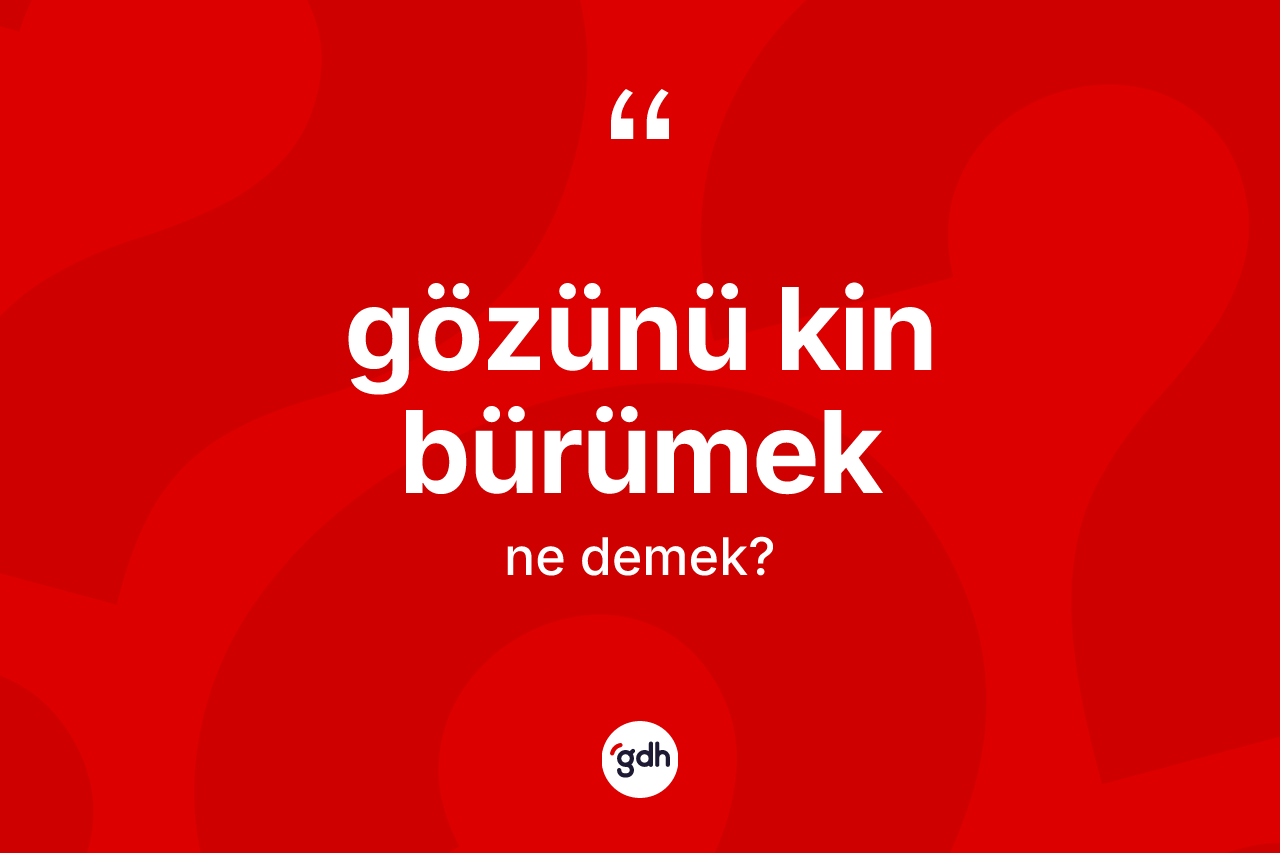 Gözünü kin bürümek ifadesinin tanımı nedir?