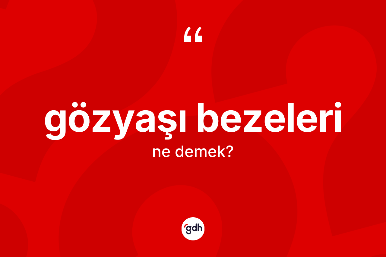 Gözyaşı bezeleri kelimesinin anlamı nedir?