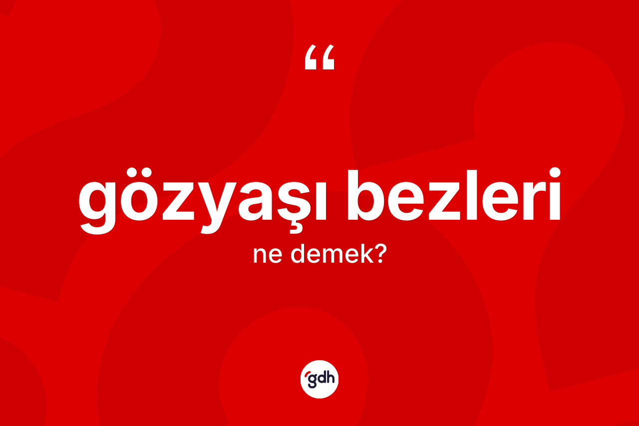Gözyaşı bezleri kelimesi ne demek? Gözyaşı bezlerinin sözlükteki anlamı nedir?