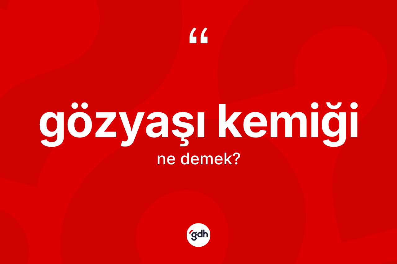 Gözyaşı kemiği kelimesinin sözlükteki tanımı nedir? Gözyaşı kemiğinin kısaca tanımı nedir?