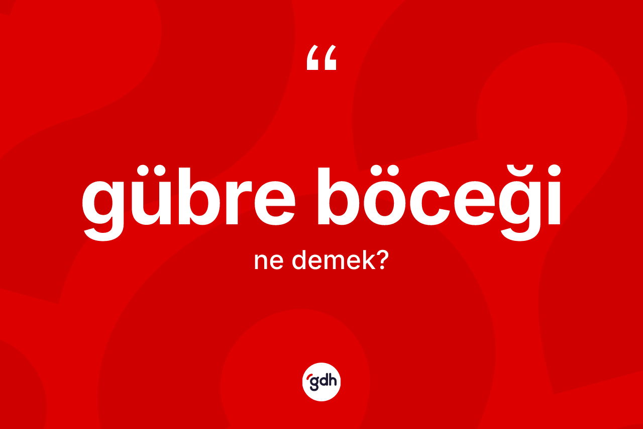 Gübre böceği kelimesinin tanımı nedir? Gübre böceğinin sözlükteki anlamı nedir?