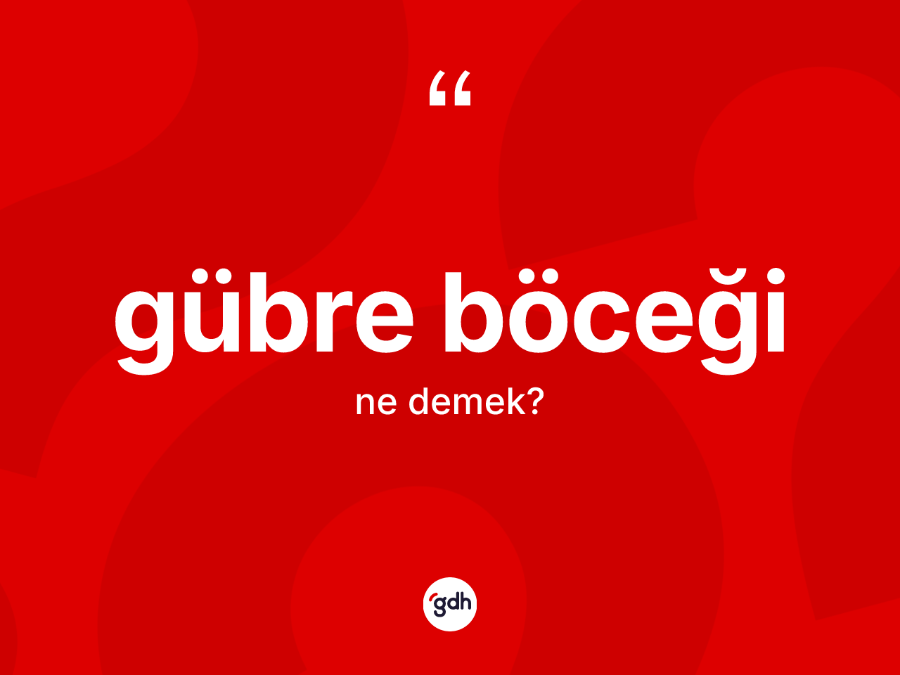 Gübre böceği kelimesinin tanımı nedir? Gübre böceğinin sözlükteki anlamı nedir?