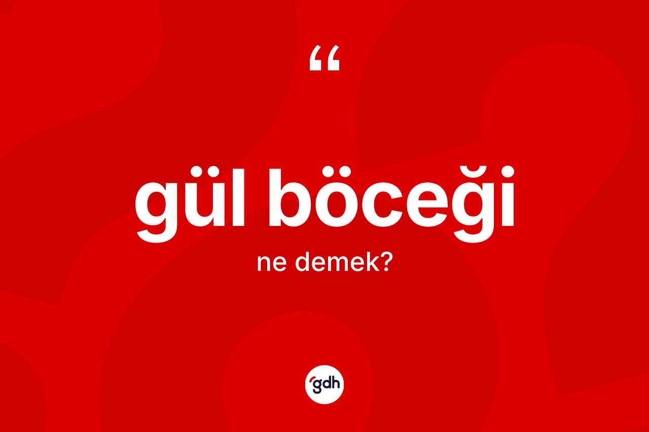Gül böceği ne anlama gelir? Gül böceğinin TDK'ya göre anlamı nedir?