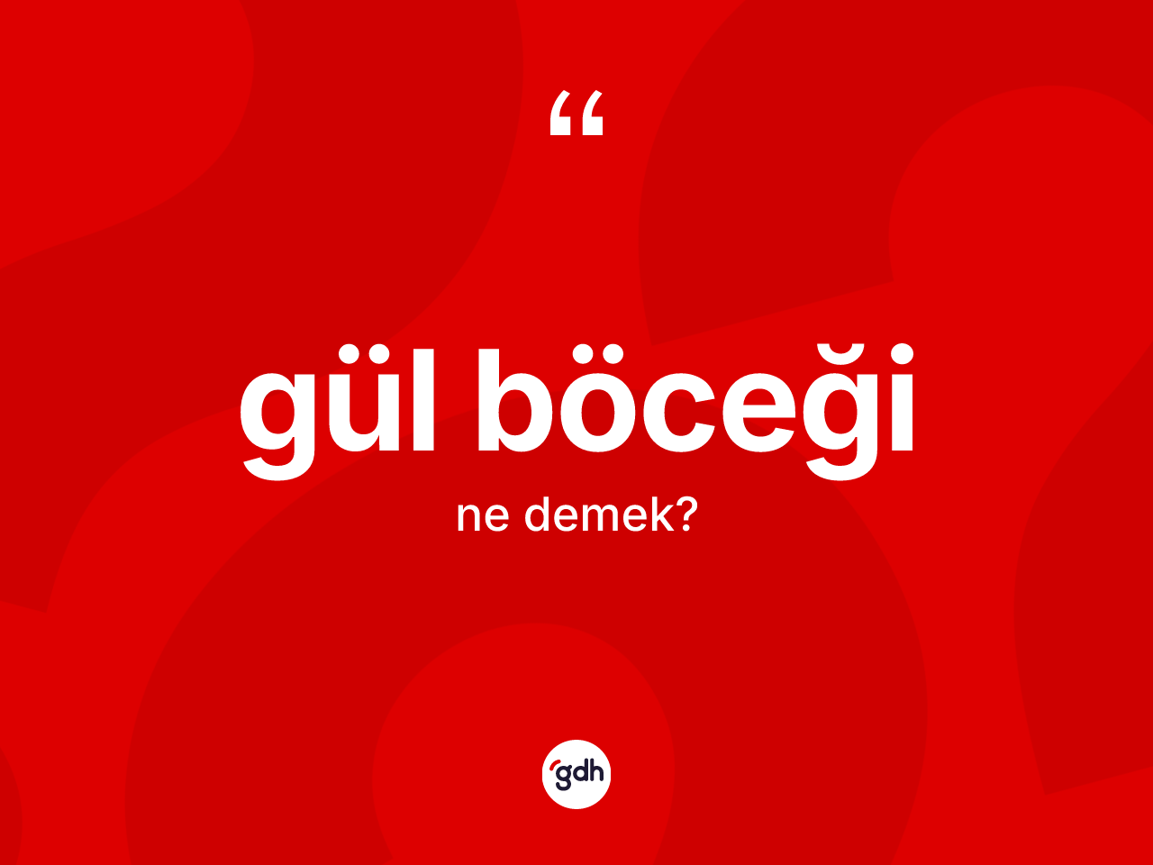 Gül böceği ne anlama gelir? Gül böceğinin TDK'ya göre anlamı nedir?