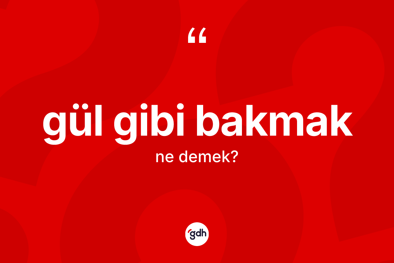 Gül gibi bakmak sözü ne anlama gelir? Gül gibi bakmak ifadesinin TDK anlamı nedir?