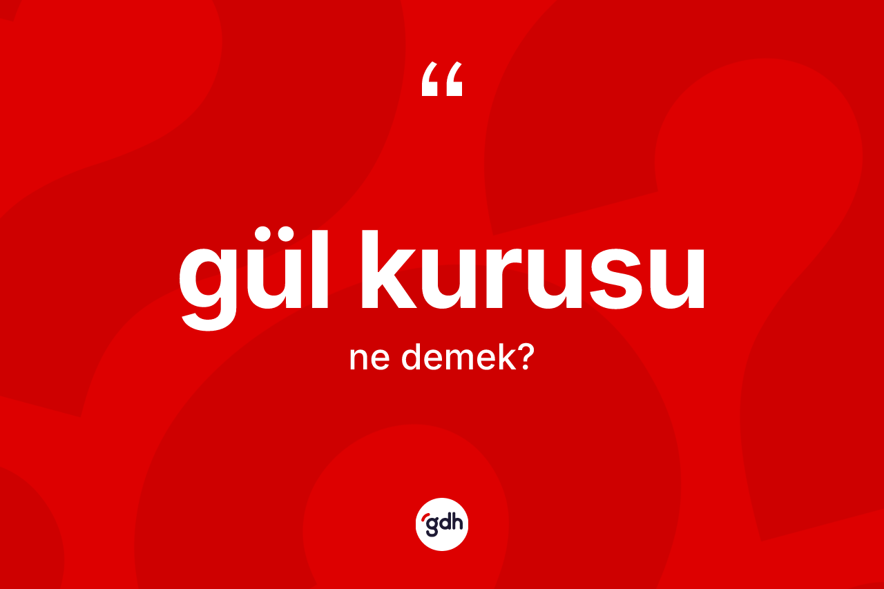 Gül kurusu kelimesi ne demek? Gül kurusunun TDK'ya göre anlamı nedir?