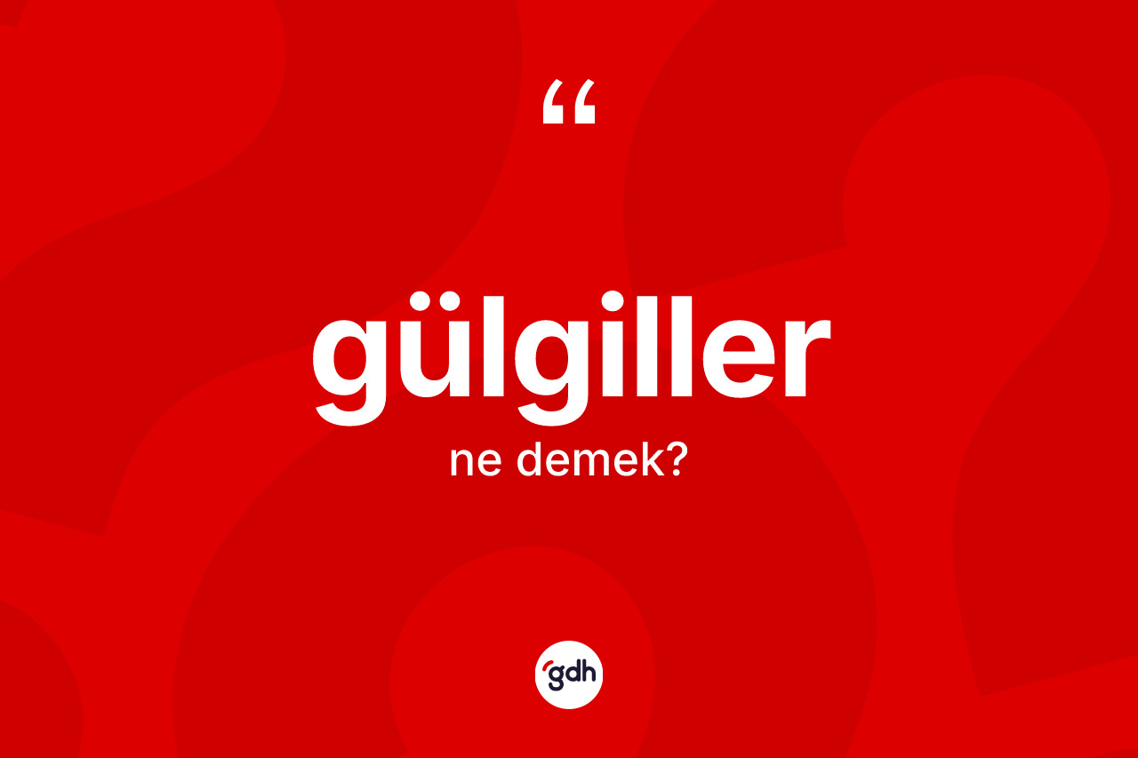 Gülgiller kelimesinin anlamı nedir? Gülgiller kelimesinin kaç farklı anlamı var?