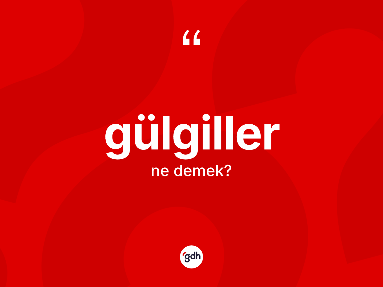 Gülgiller kelimesinin anlamı nedir? Gülgiller kelimesinin kaç farklı anlamı var?