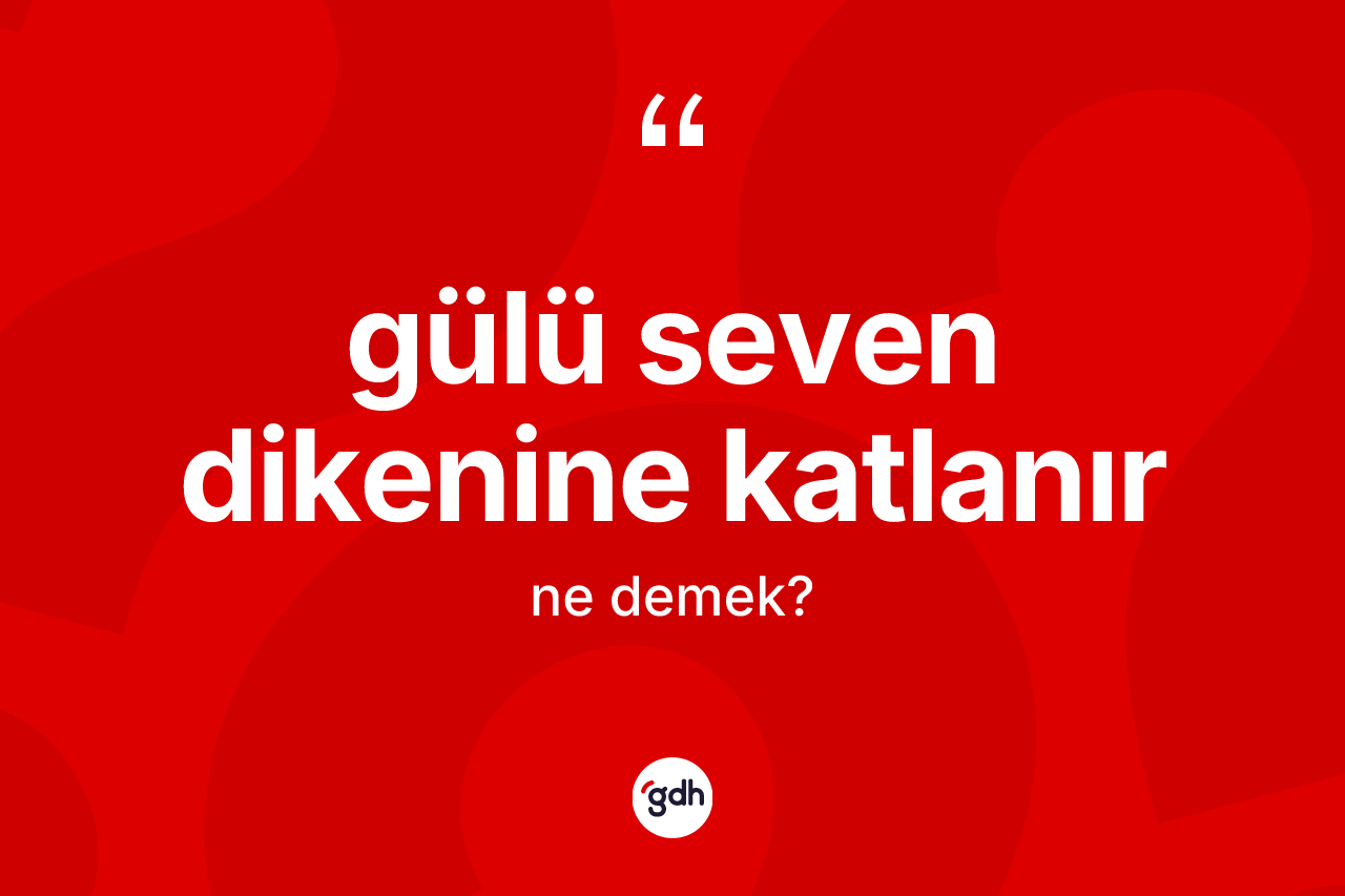Gülü seven dikenine katlanır ne anlama gelir? Gülü seven dikenine katlanır ifadesi hangi durumlarda kullanılır?