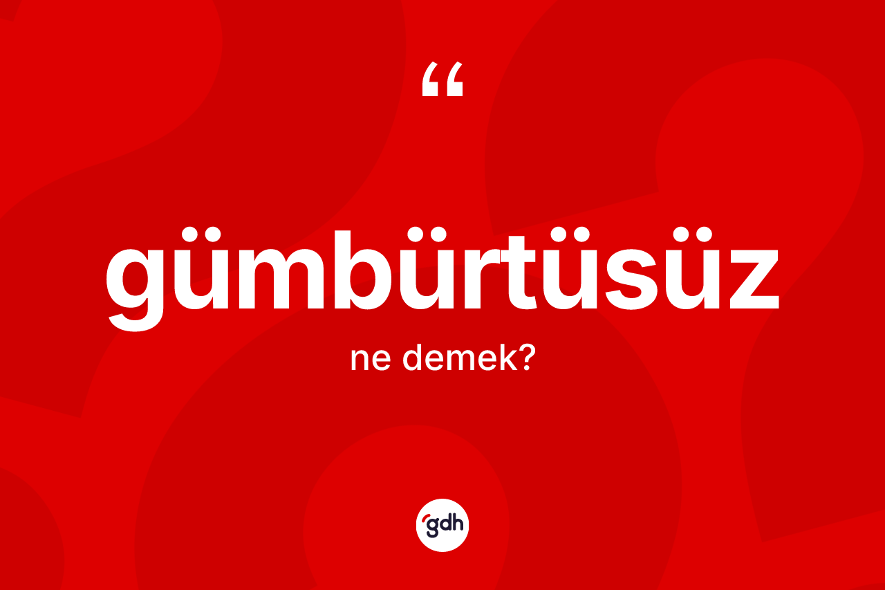 Gümbürtüsüz ne demek?
