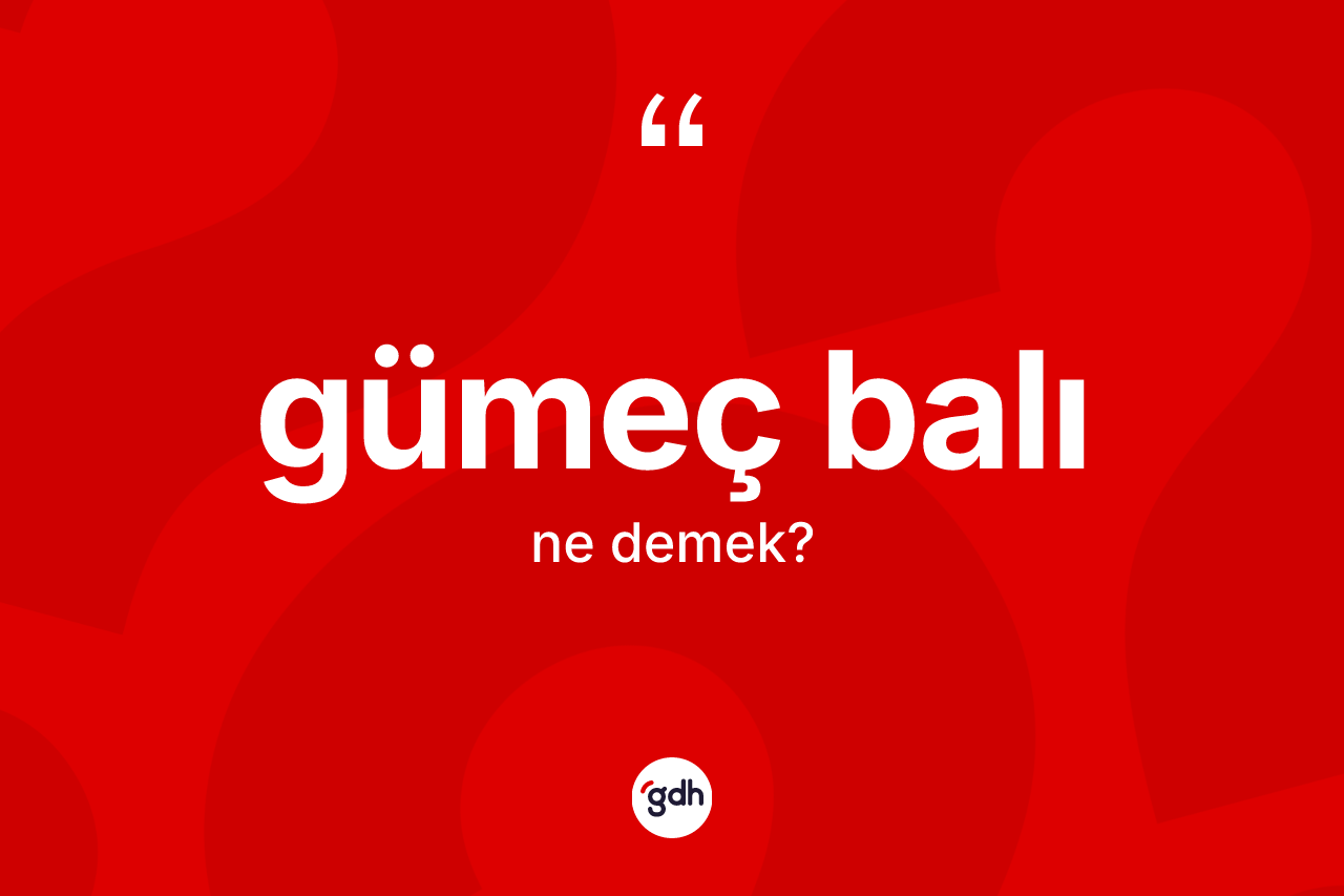 Gümeç balı kelimesinin tanımı nedir? Gümeç balı kelimesinin TDK anlamı nedir?