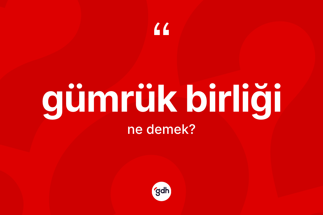 Gümrük birliği kelimesinin anlamı nedir? Gümrük birliğinin TDK'ya göre anlamı nedir?