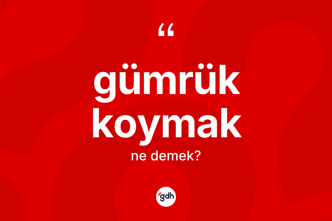 Gümrük koymak ifadesinin tanımı nedir? Gümrük koymak ifadesinin özellikleri nelerdir?