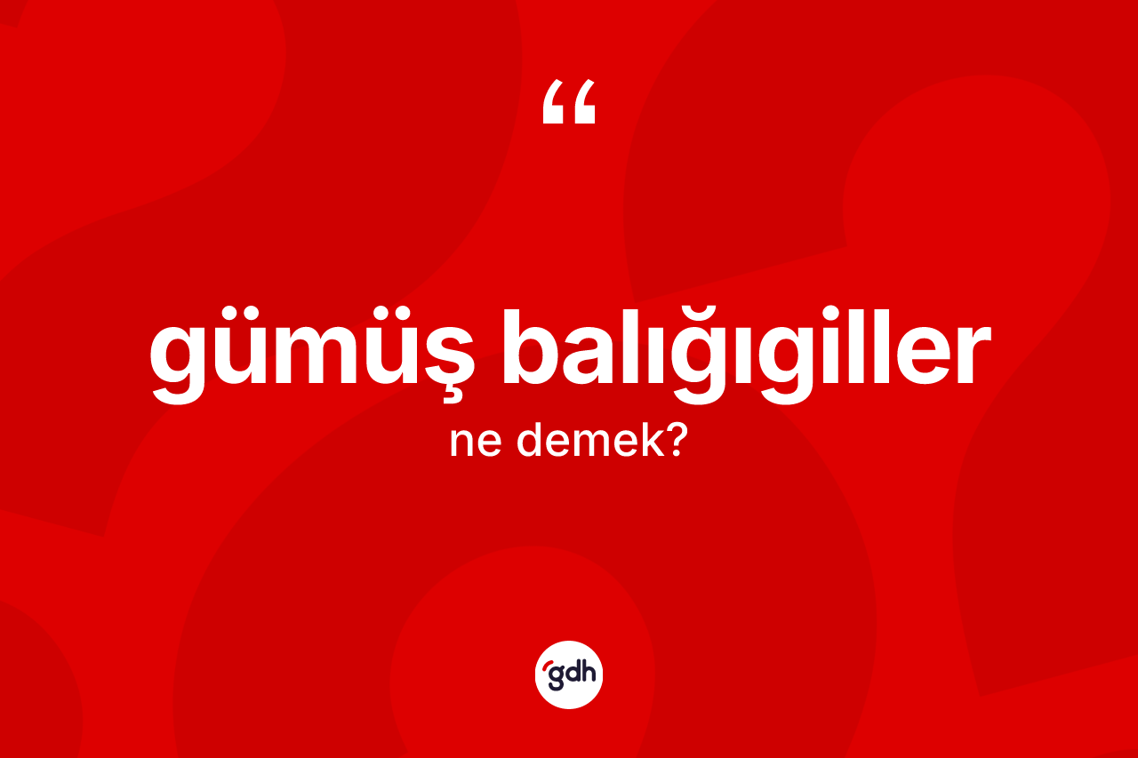 Gümüş balığıgiller nedir? Gümüş balığıgillerin TDK'ya göre anlamı nedir?