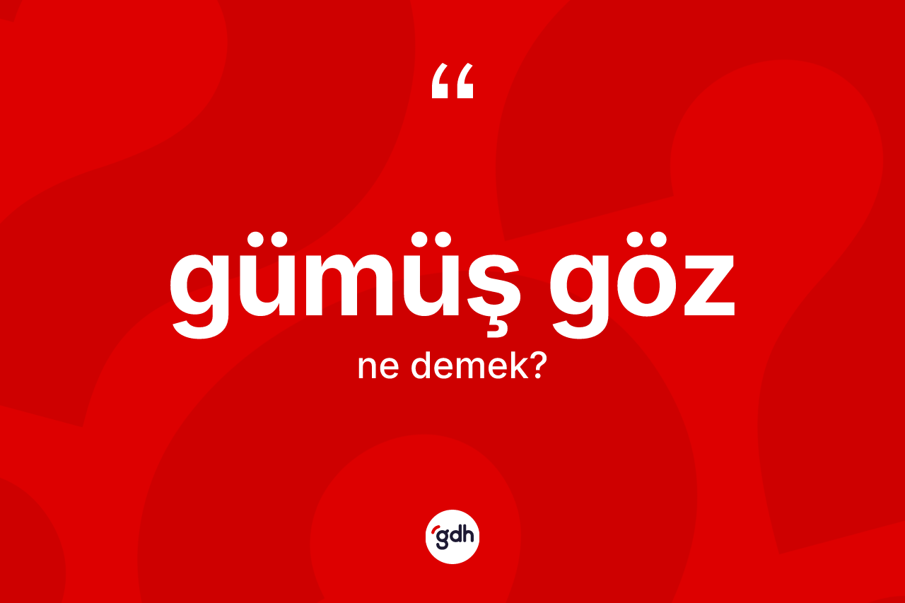 Gümüş göz kelimesi ne anlama gelir? Gümüş gözün TDK'ya göre anlamı nedir?