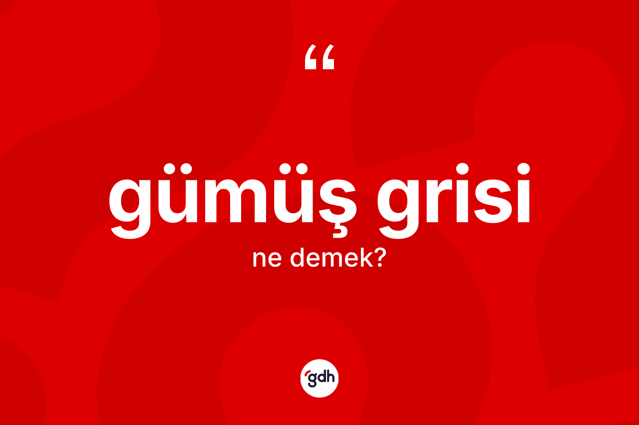 Gümüş grisi ne demek? Gümüş grisinin TDK'ya göre anlamı nedir?