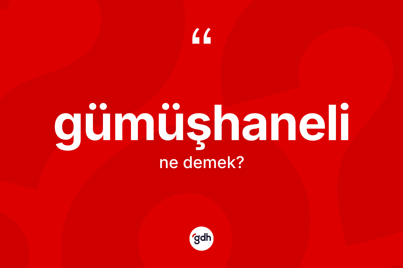 Gümüşhaneli kelimesinin sözlükteki tanımı nedir?