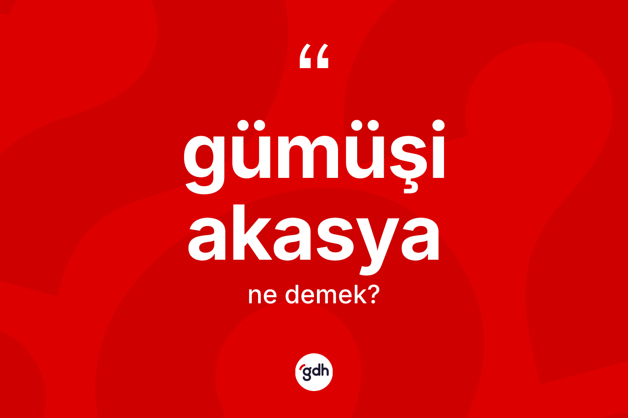 Gümüşi akasya kelimesinin sözlükteki tanımı nedir?