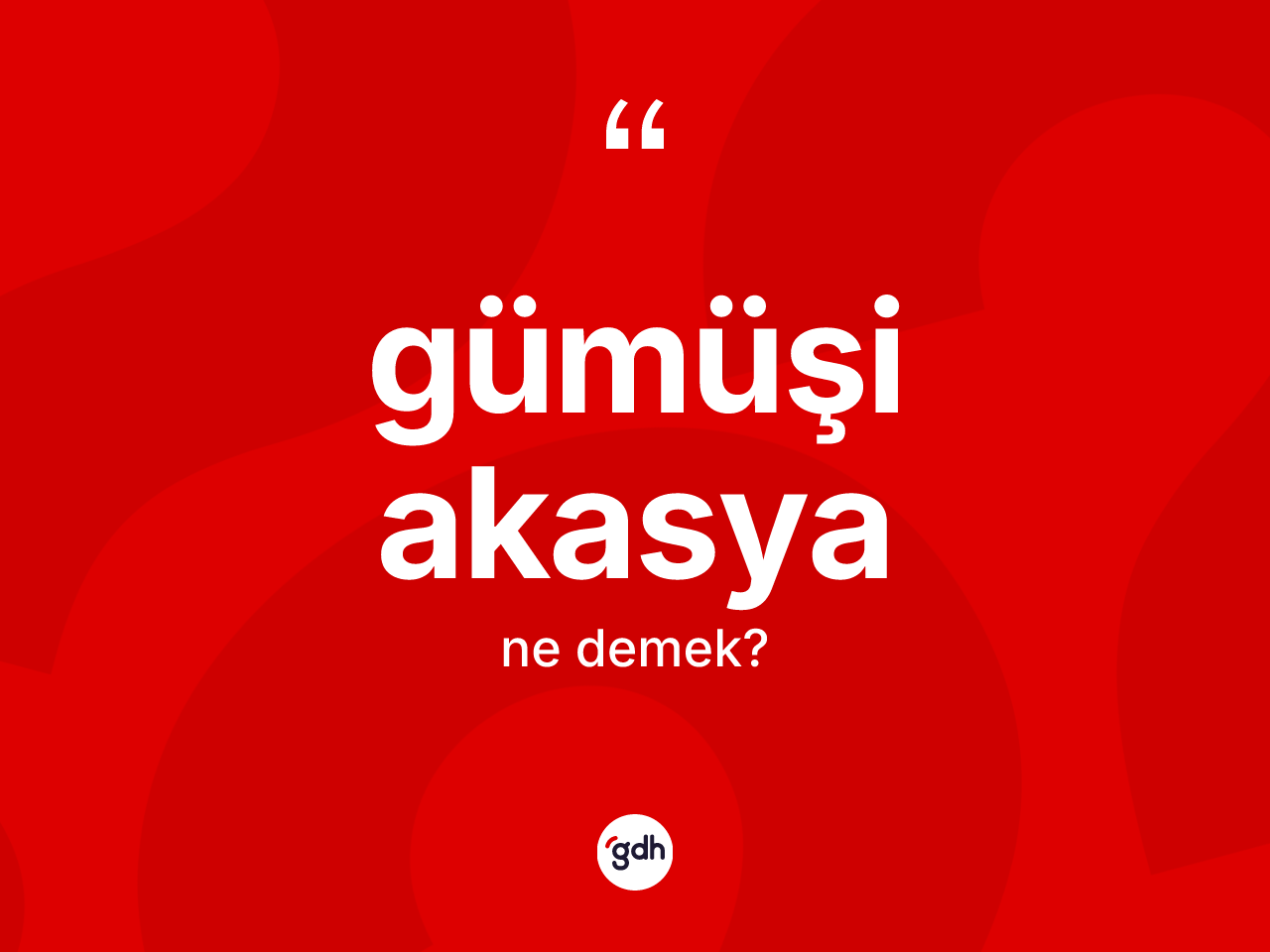 Gümüşi akasya kelimesinin sözlükteki tanımı nedir? Gümüşi akasyanın TDK'ya göre anlamı nedir?