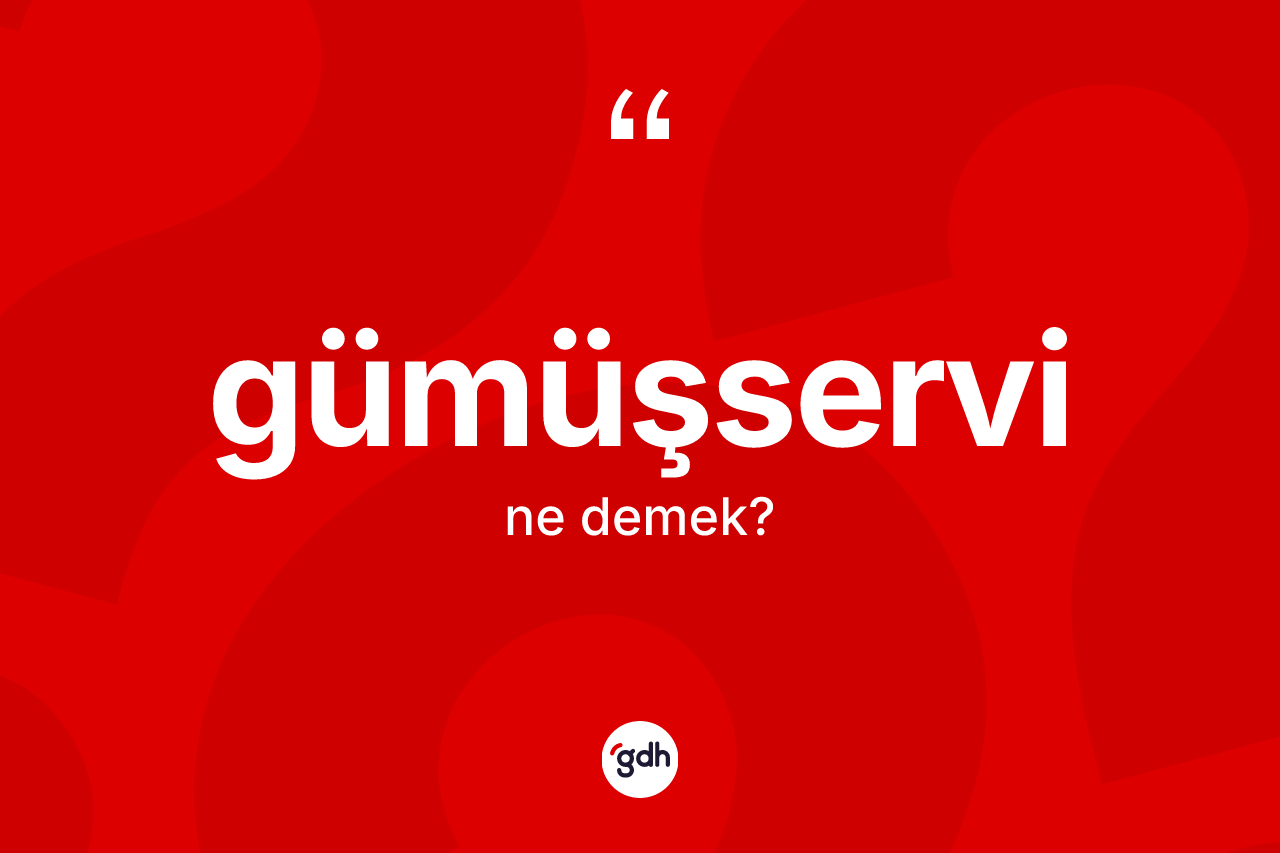 Gümüşservi kelimesi nedir? Gümüşservi kelimesinin kaç farklı anlamı var?