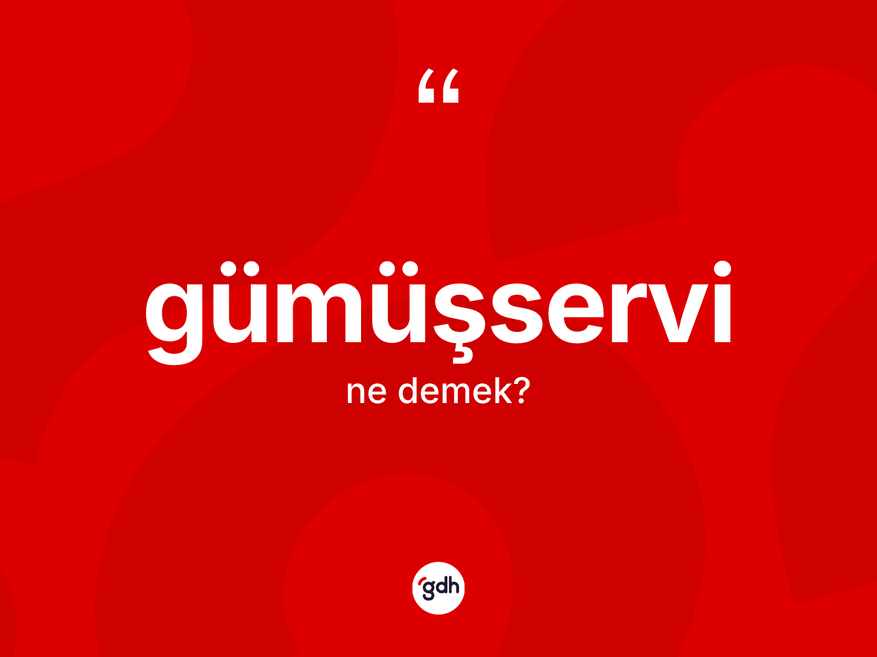 Gümüşservi kelimesi nedir? Gümüşservi kelimesinin kaç farklı anlamı var?