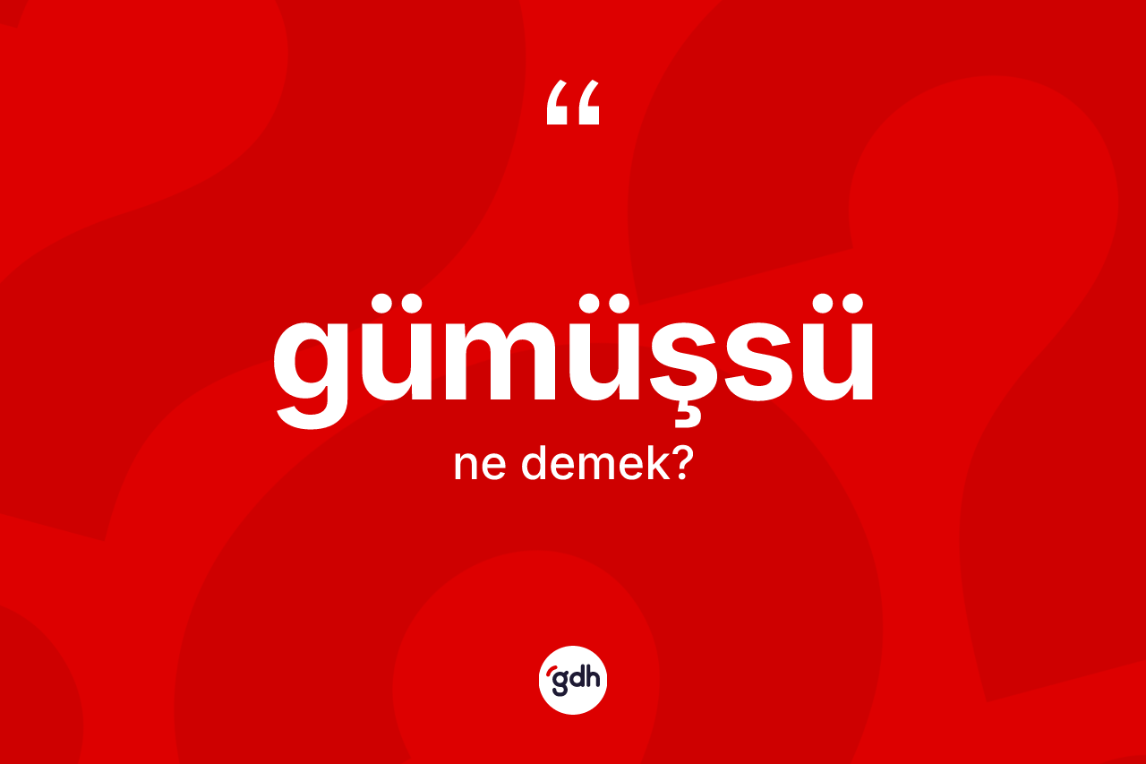 Gümüşsü kelimesi nedir?