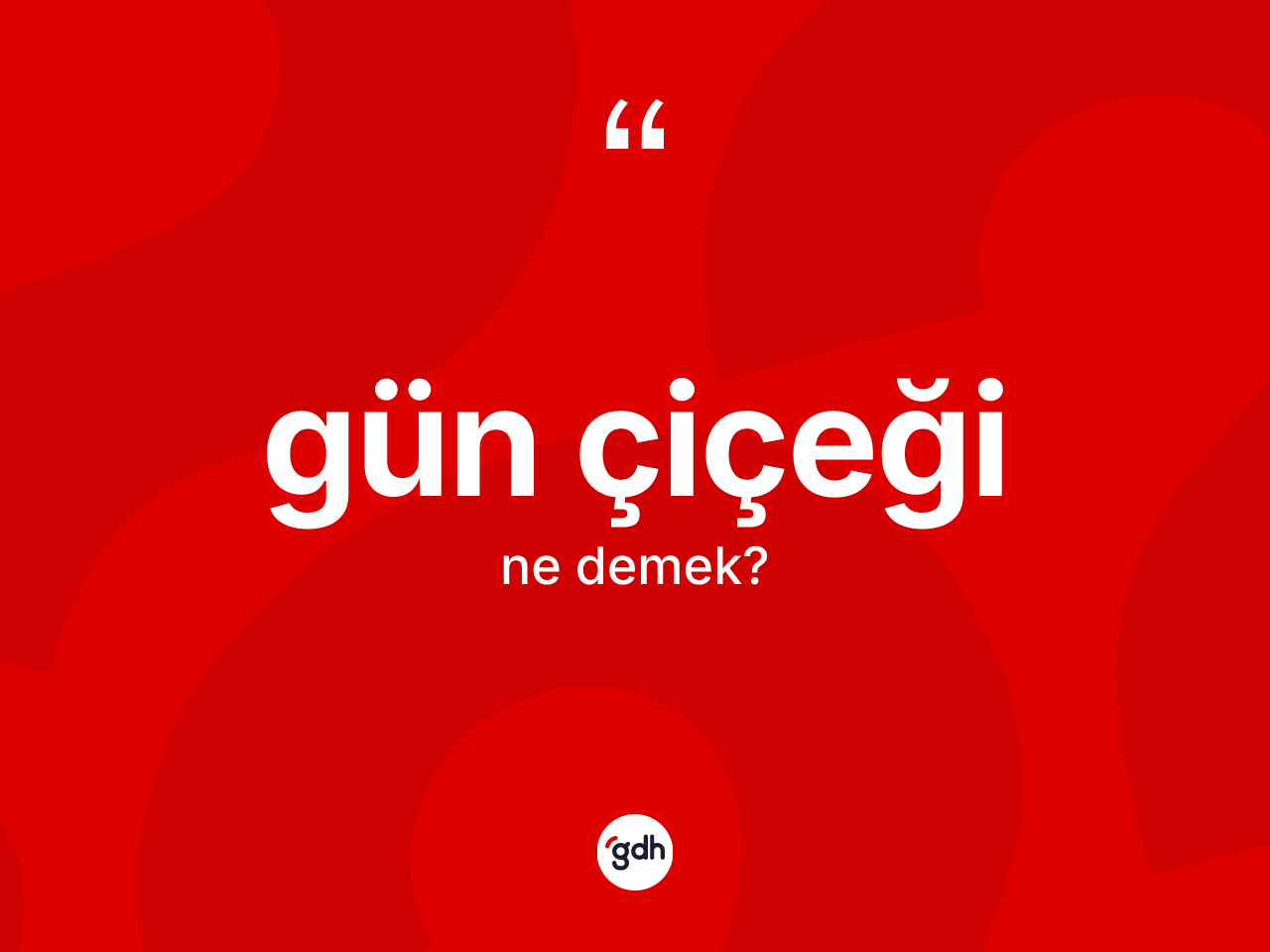 Gün çiçeği kelimesinin tanımı nedir? Gün çiçeği kelimesinin TDK anlamı nedir?