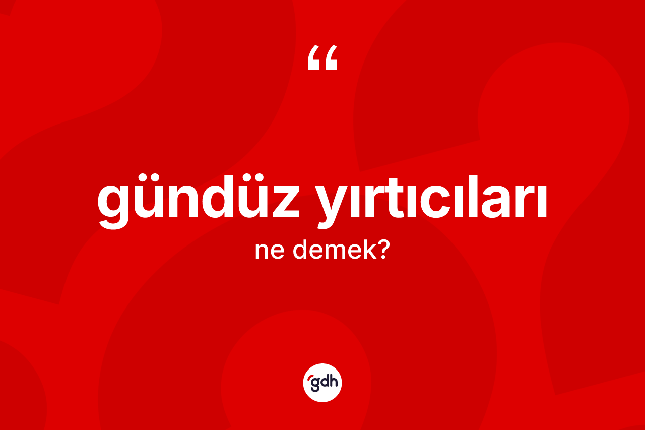 Gündüz yırtıcıları kelimesinin sözlükteki tanımı nedir? Gündüz yırtıcıları kelimesinin kaç farklı anlamı var?